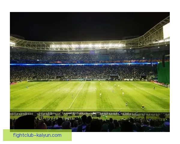 解放者杯最佳射手近期表现稳健，进球效率持续提升